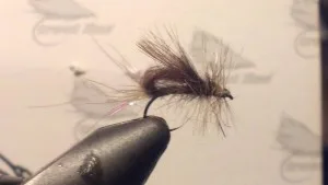 mac-brown-cdc-loop-winged-caddis.jpg