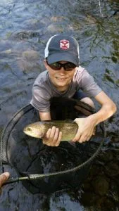 switch-rod-tuckasegee-river.jpg