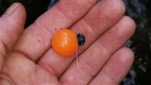 air-lock-indicator.jpg
