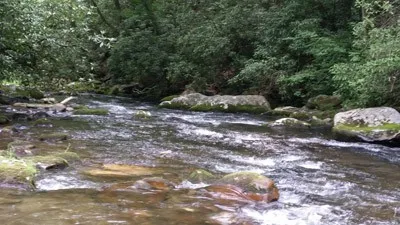smokies-pocket-water.jpg