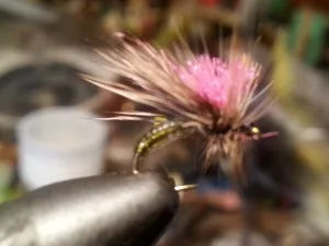 crown-caddis-charlie-craven-delayed-harvest-tuckasegee.jpg