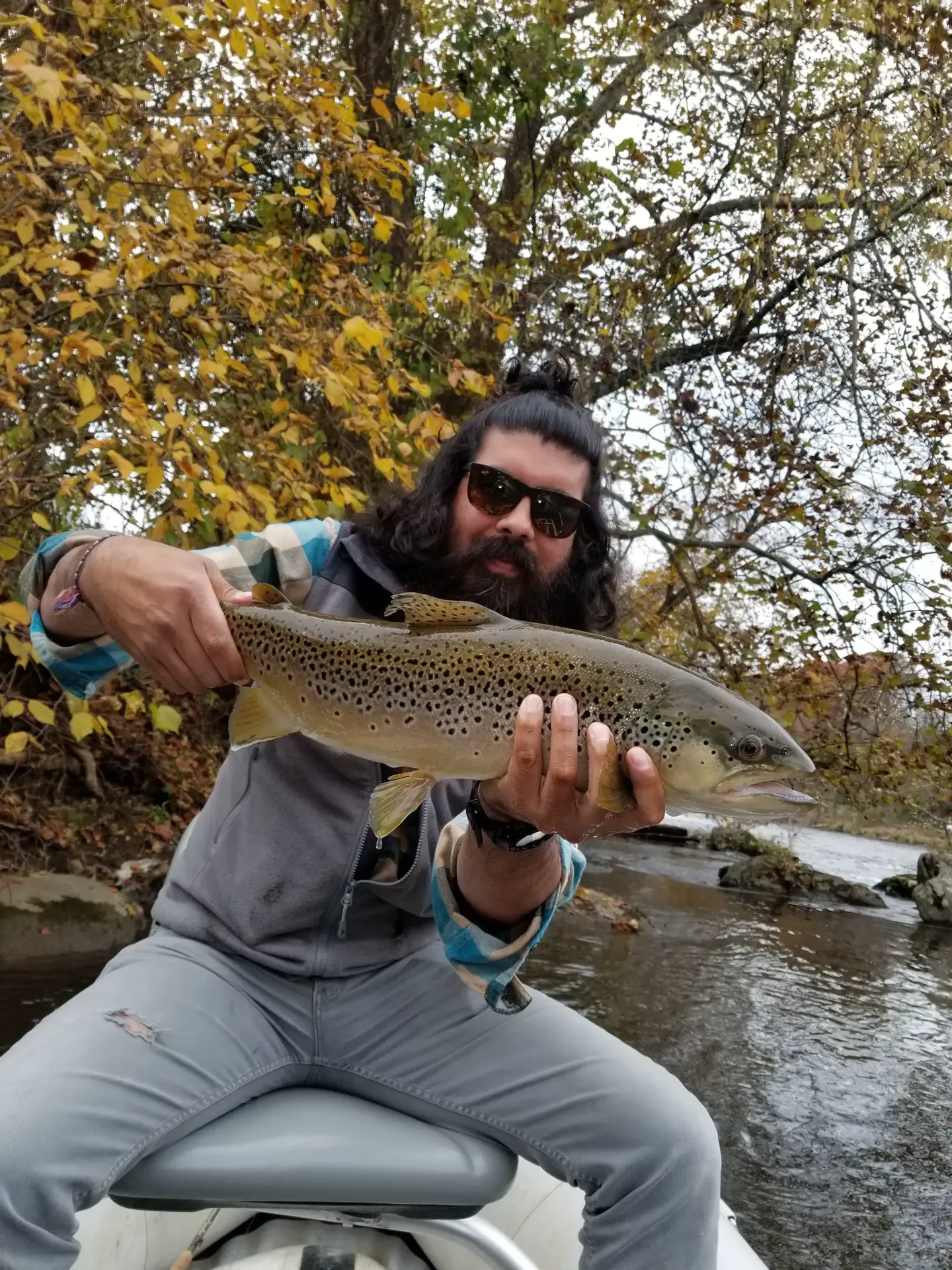 Fall brown trout near Atlanta GA — Mac Brown Fly Fish, Bryson City NC
