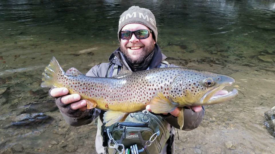 Nantahala River brown trout near Raleigh NC — Mac Brown Fly Fish
