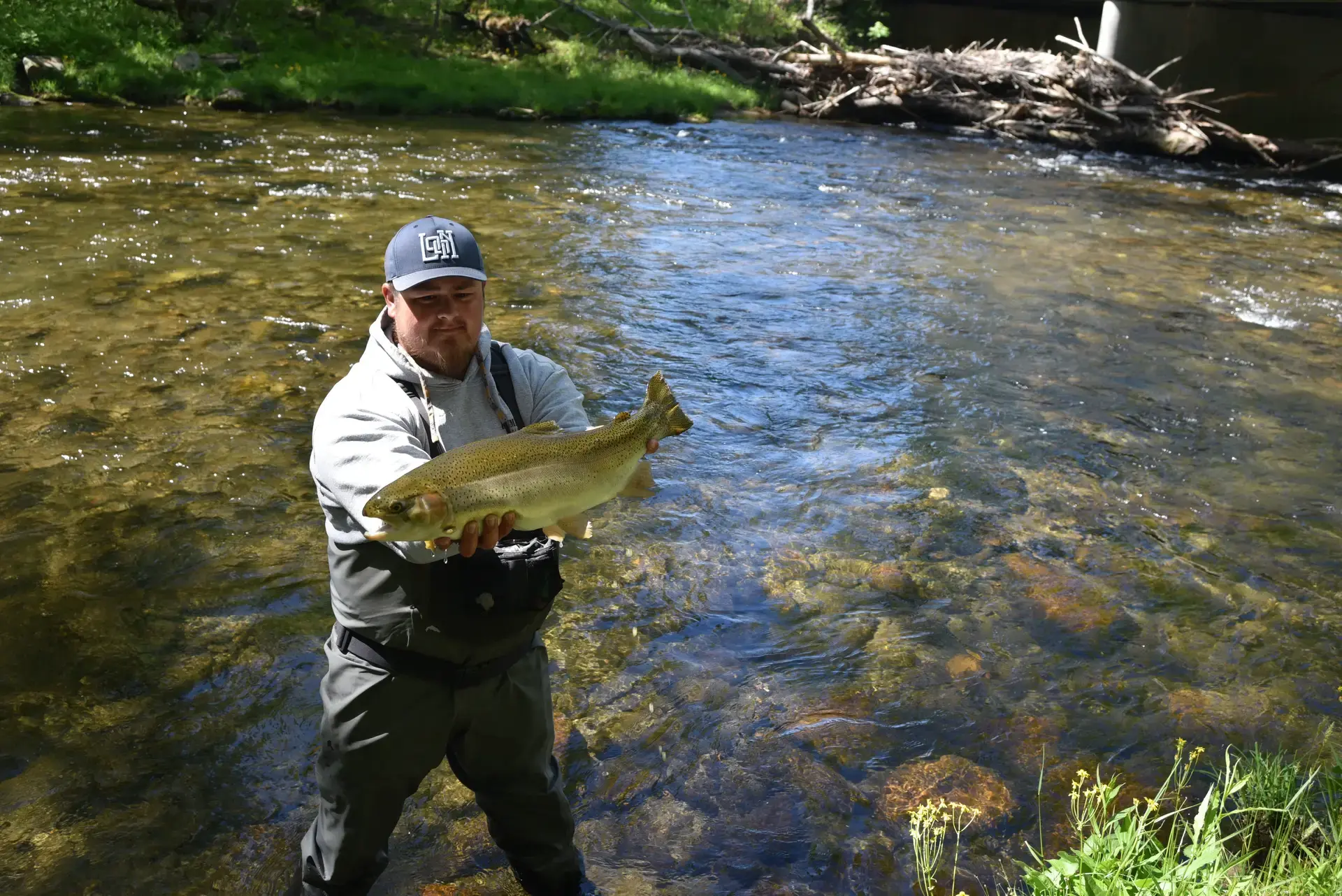 Fly fishing gift certificates — Mac Brown Fly Fish, Bryson City NC