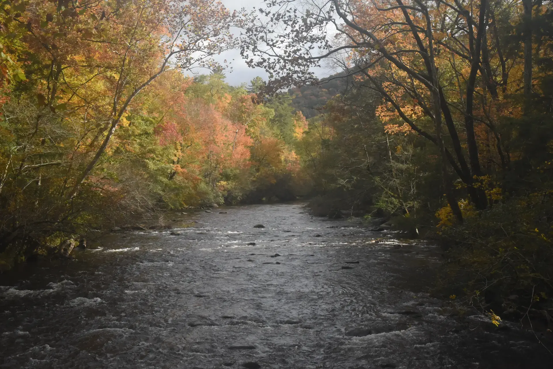 Mountain river in the Great Smoky Mountains — wet fly fishing water