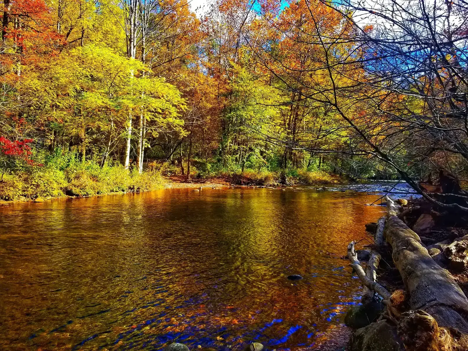 Mountain pool reflection on a guided fly fishing trip — Mac Brown Fly Fish
