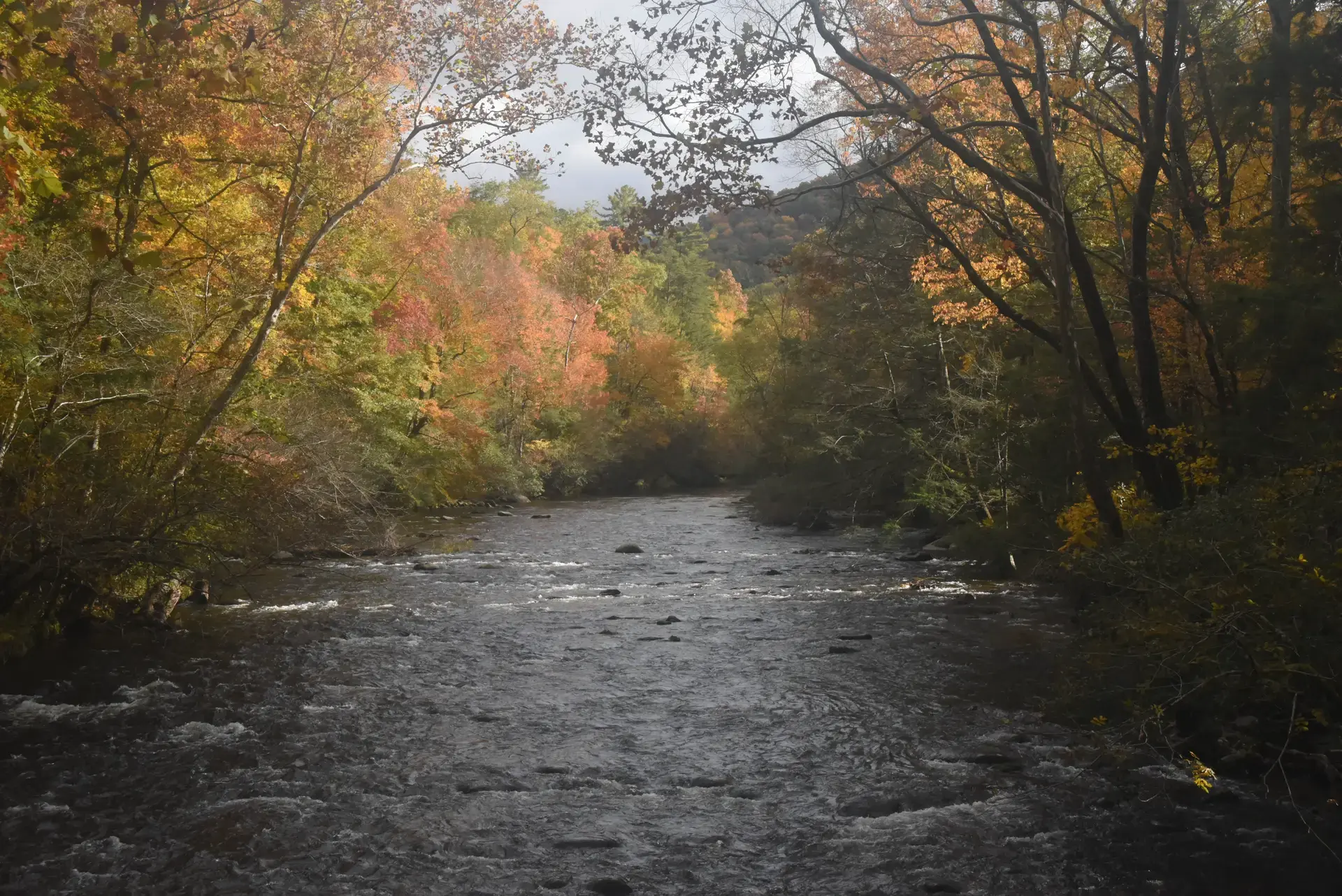 Guided fly fishing trips from Atlanta GA — Mac Brown Fly Fish, Bryson City NC