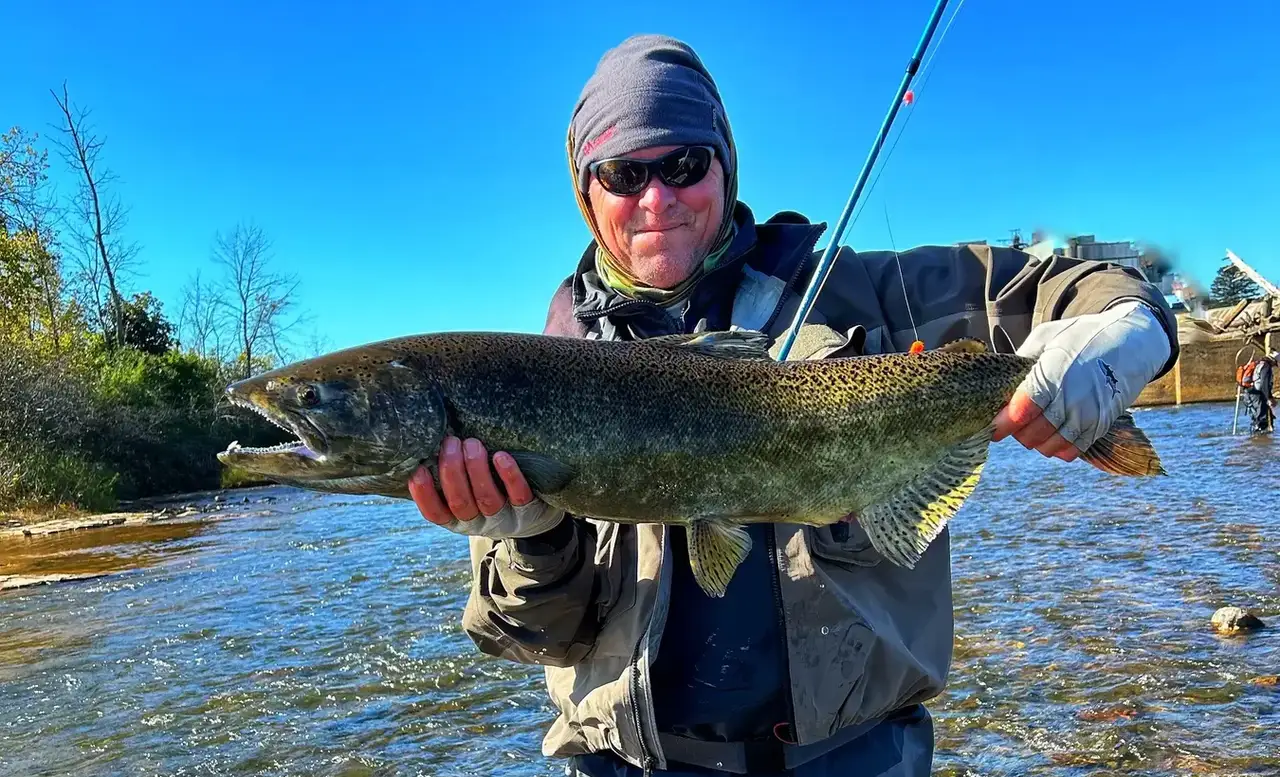 Wild brown trout caught fly fishing in Western North Carolina — Mac Brown Fly Fish, Bryson City NC