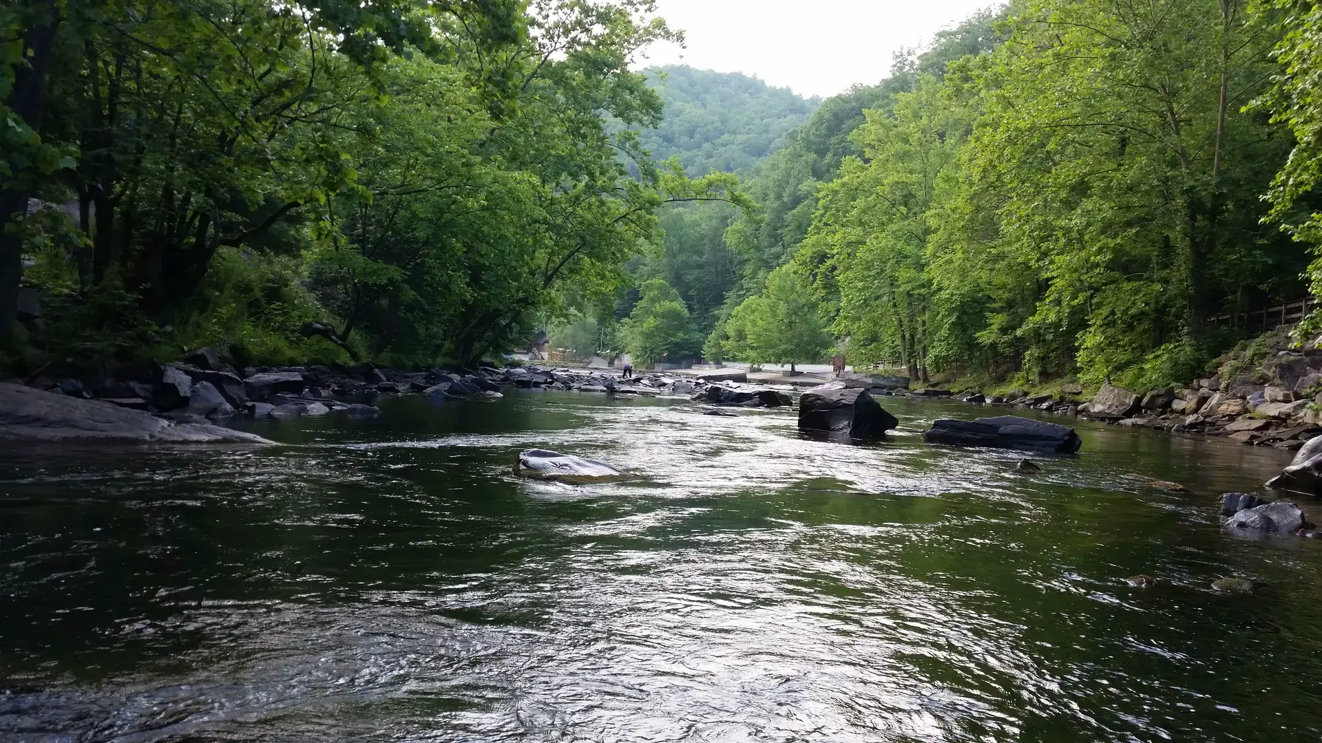 Tuckasegee River summer