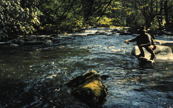 Trout Fishing Back Country Trips in the Smoky Mountains of NC