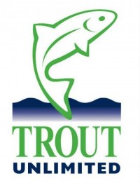 trout-fishing-delayed-harvest-guide-trout-unlimited.jpg