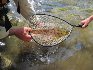 Asheville-NC-Guided-Trout-Fishing.jpg