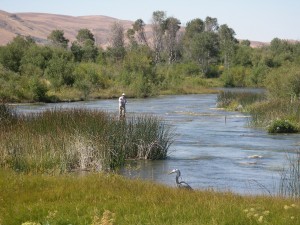 silver-creek-idaho-fly-fishing-guided-wade-trip.jpg