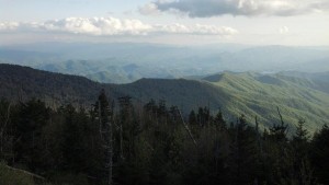 smoky-mountain-trout-fishing.jpg