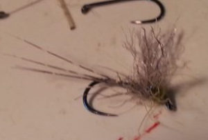 Are Barbless Hooks the Way to Go? — Fish Untamed