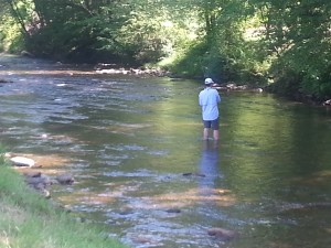 deep-creek-fly-fishing-report.jpg