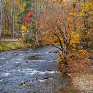 fall-fly-fishing